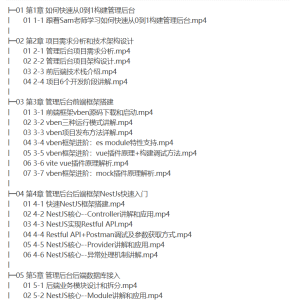[Vue] Vue3+NestJS 全栈开发企业级管理后台 2024-听课说