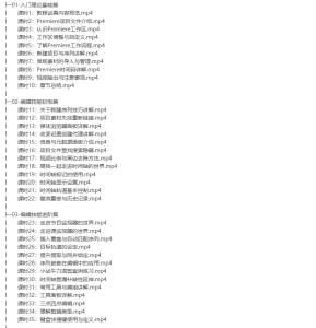 [Premiere] 0基础到高级进阶--全套Premiere视频教程素材齐全-听课说