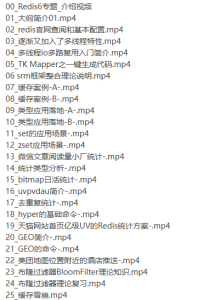 [redis] 大厂分布式存储极致性能Redis6 2021年-听课说