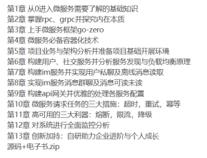 Go微服务系统精讲 Go-Zero全流程实战即时通讯 IM-听课说