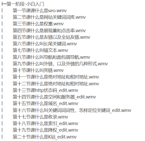 2019年3月结课的SEO魔B客F第6期完整版价值1900+-听课说