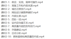 夫唯SEO系统教程24节全-听课说