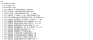 T州 seo教程第104期初级与高级VIP课程2018年-听课说