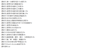 跟王老师学VBA视频教程（价值199元）[全]-听课说